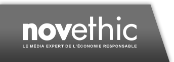Logo de Novethic