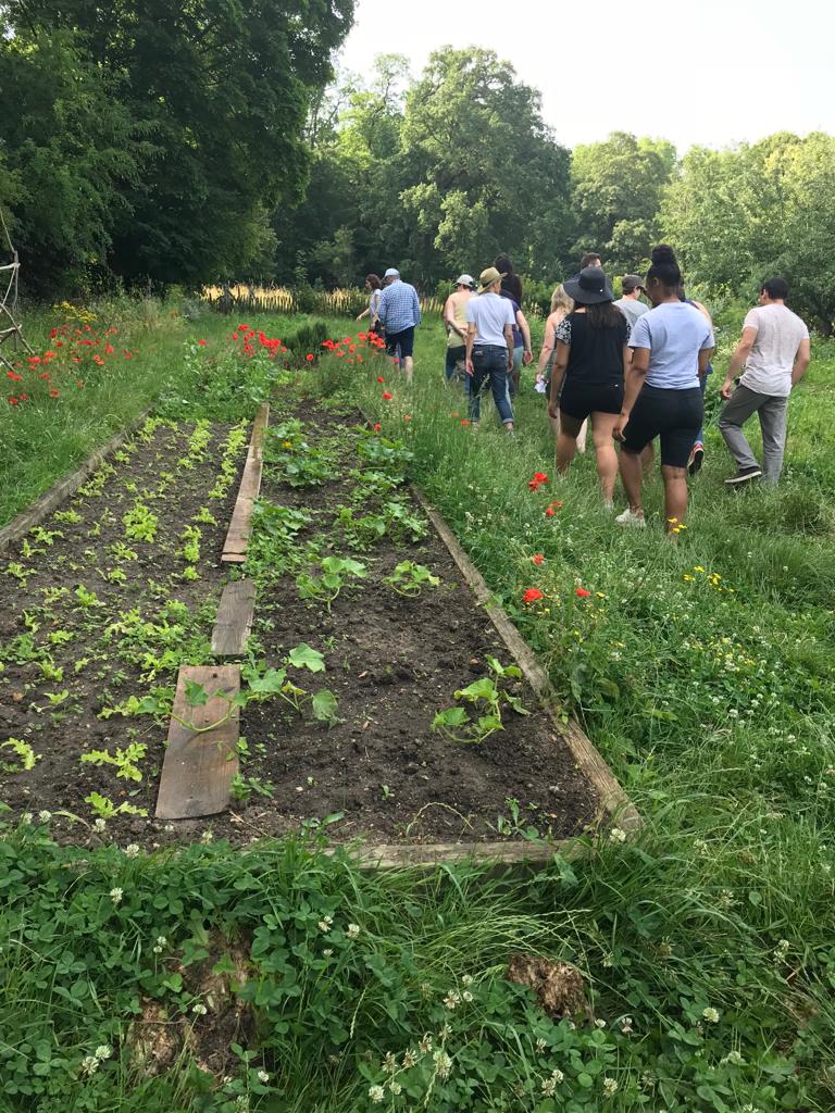 Collaborateurs faisant du jardinage