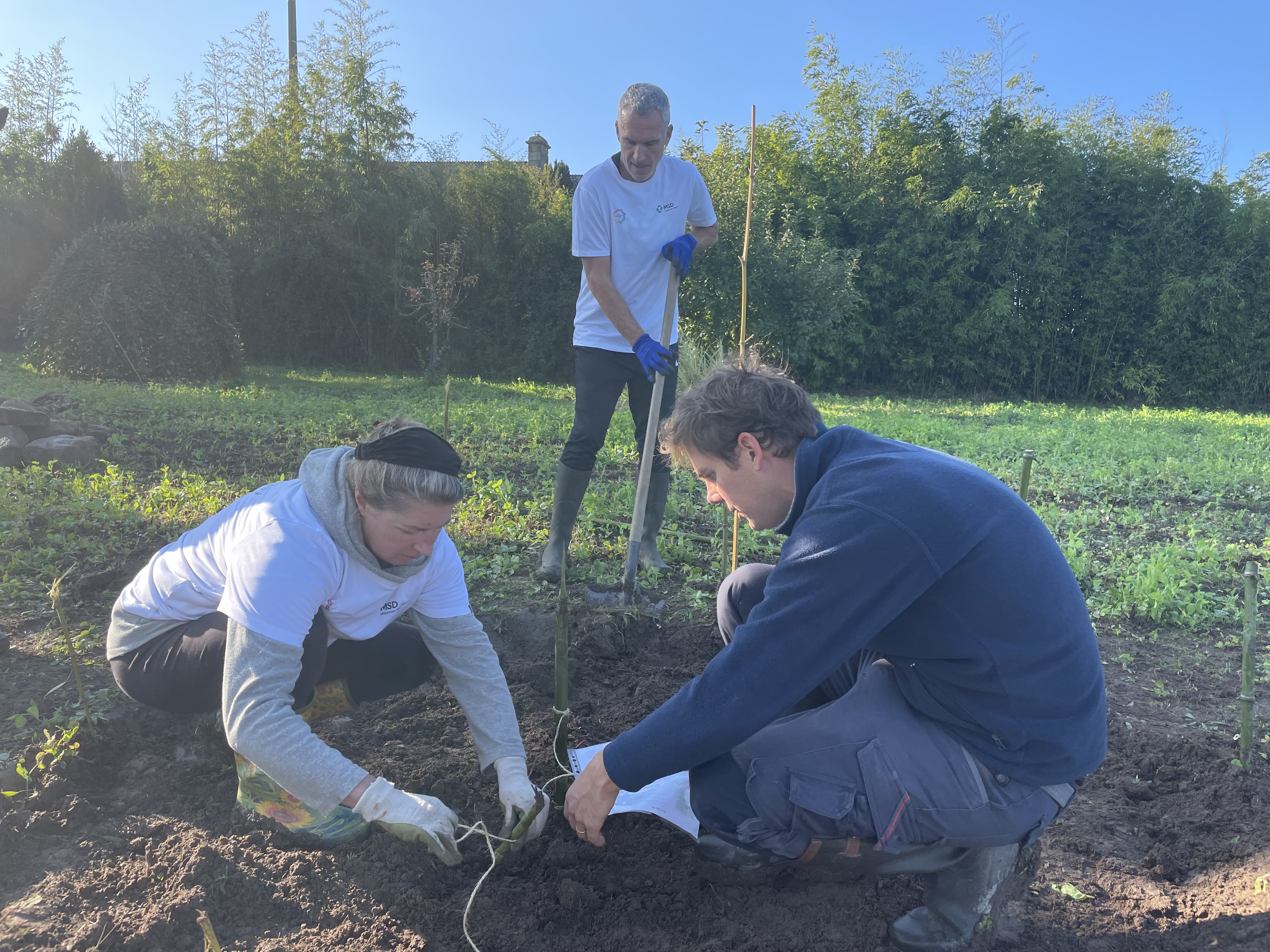 images/galerie_de_l_engagement/Collaborateurs lors d_une action de jardinage.jpeg