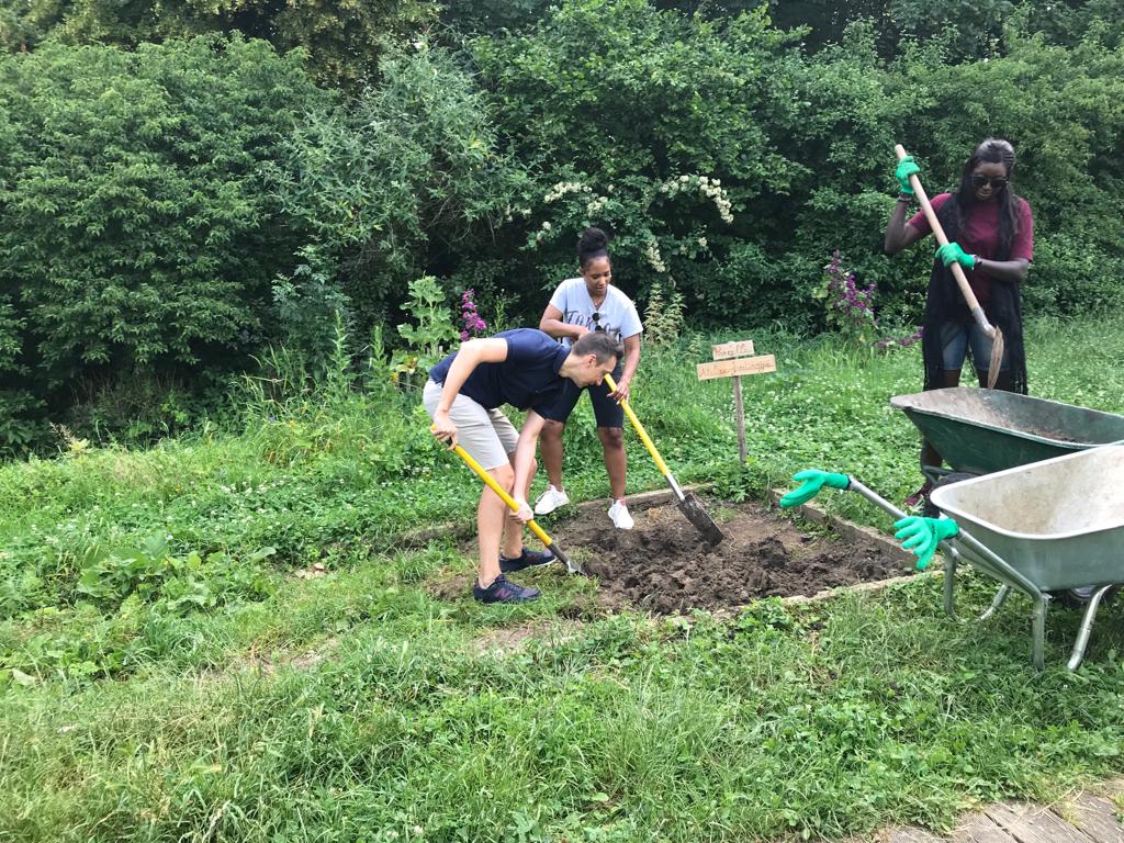 Collaborateurs lors d_une action de jardinage10