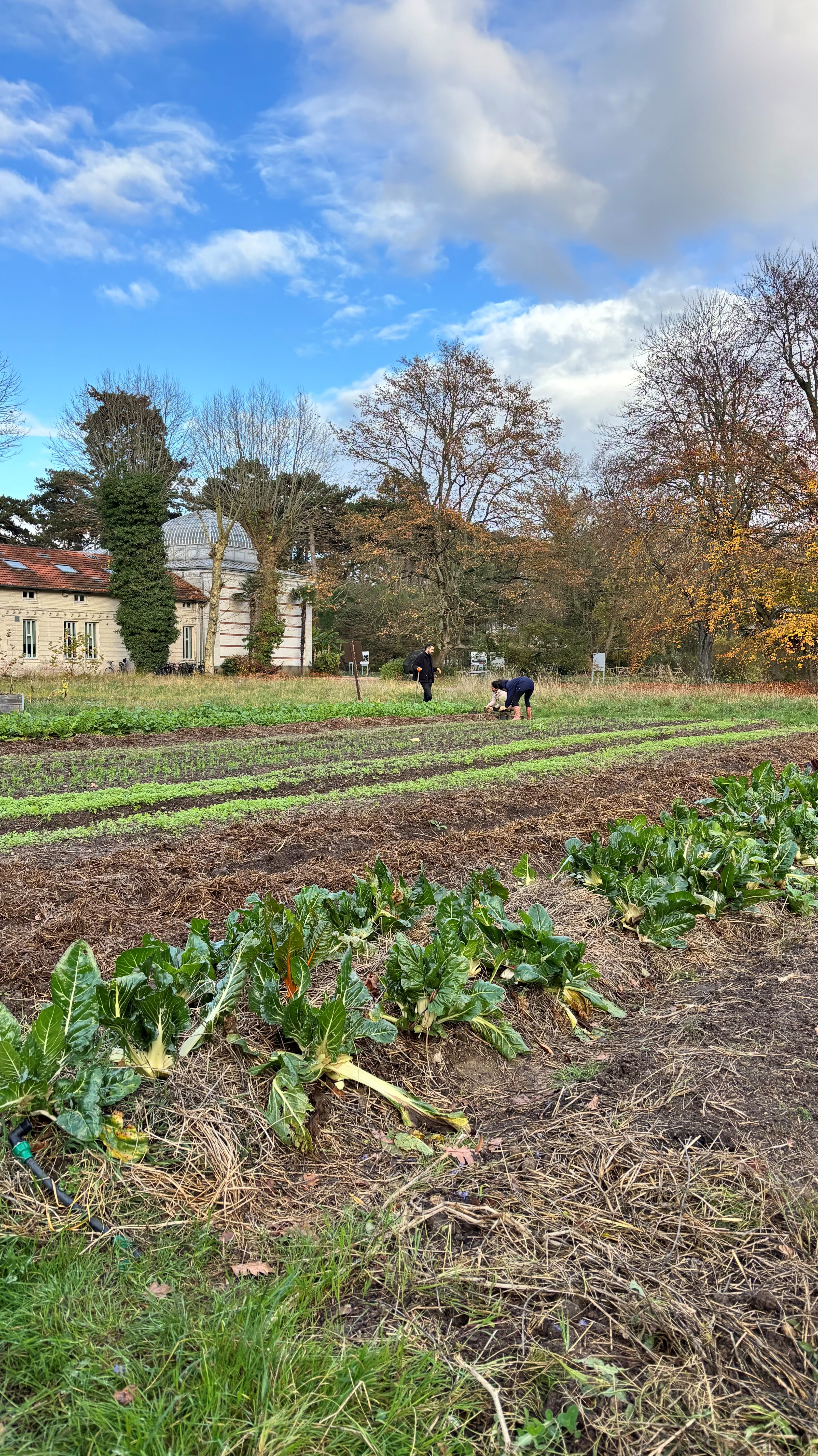collaborateurs dans les jardins