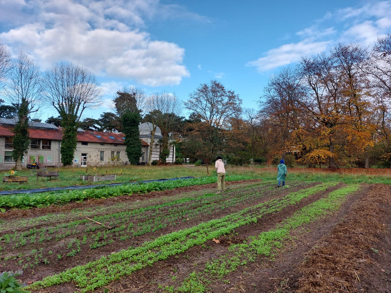collaborateurs lors dune action de jardinage maraichage6
