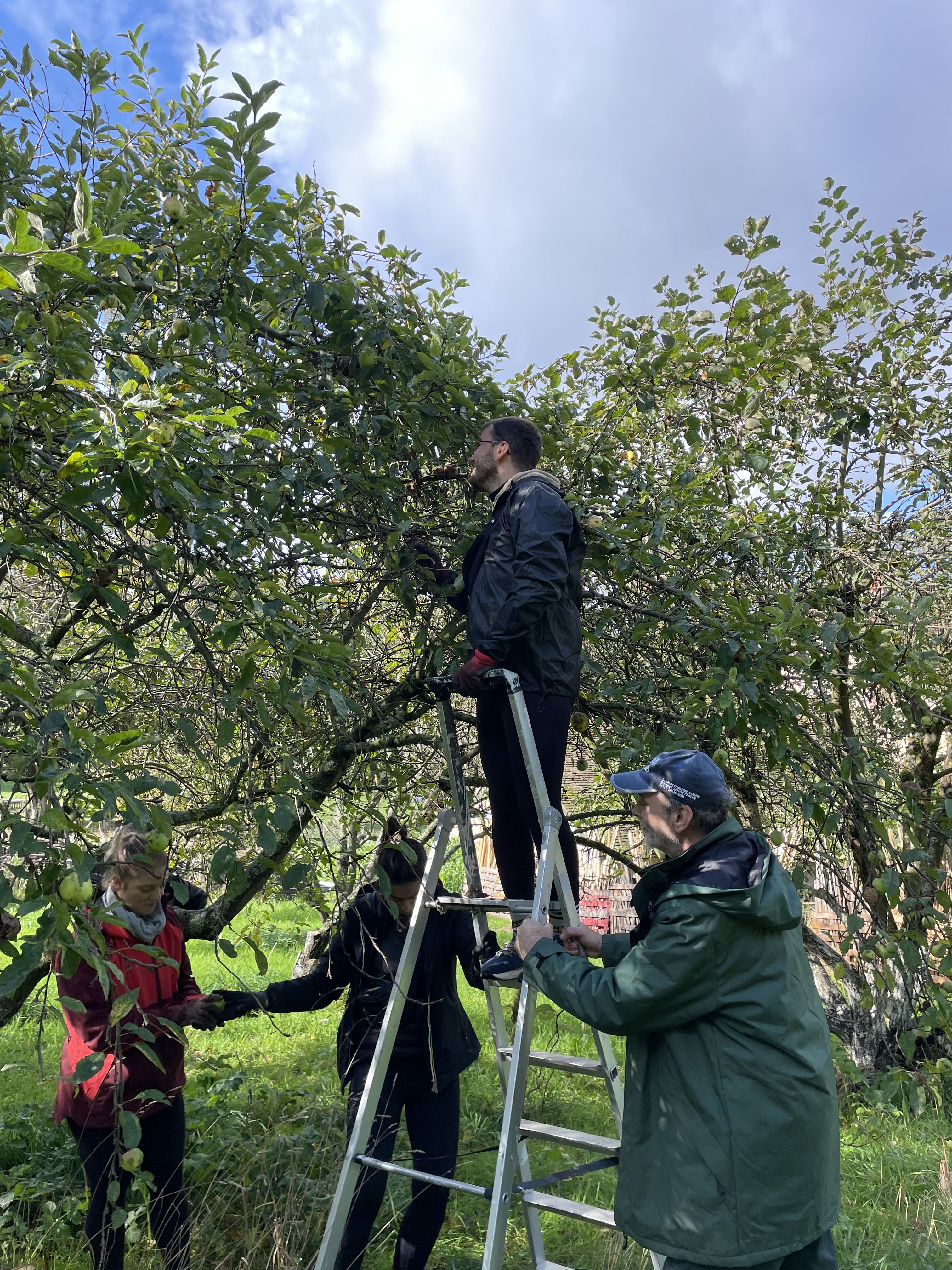 images/galerie_de_l_engagement/Collaborateurs lors d_une action de jardinage8.jpg