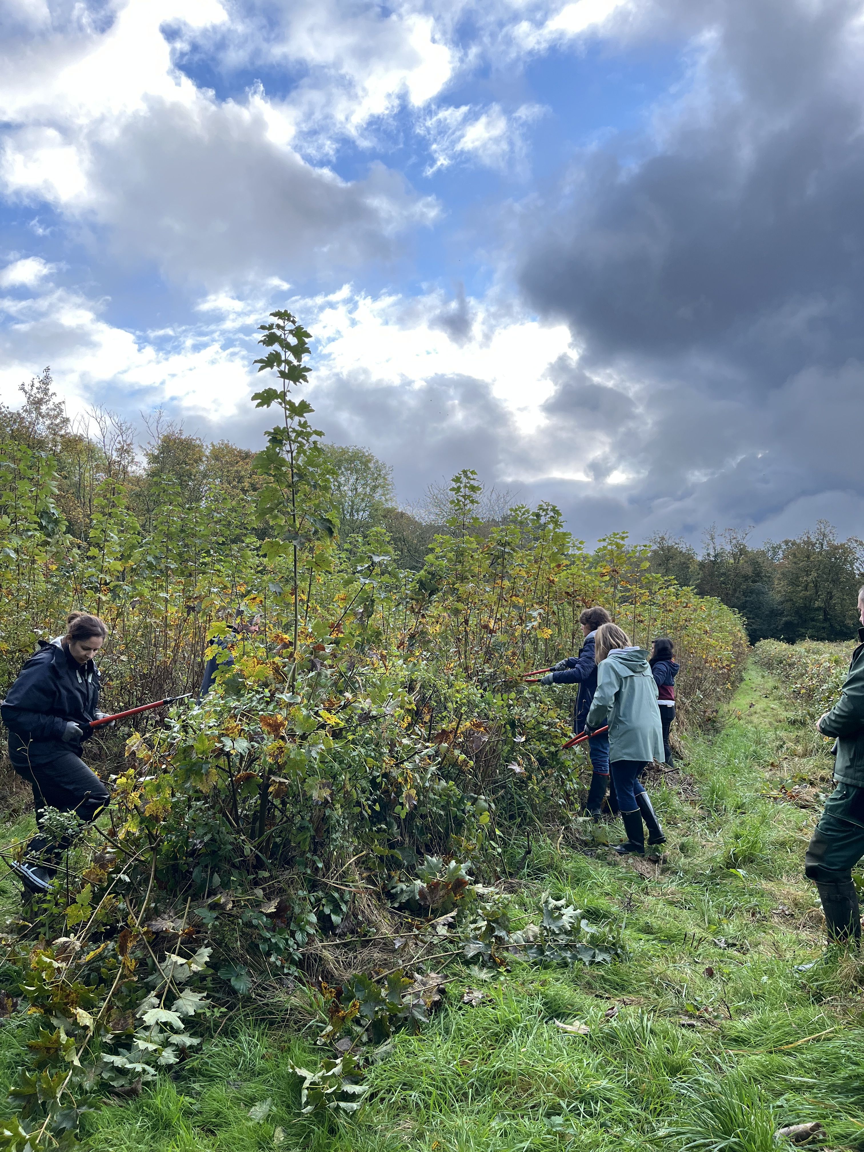 Collaborateurs lors d_une action de jardinage25