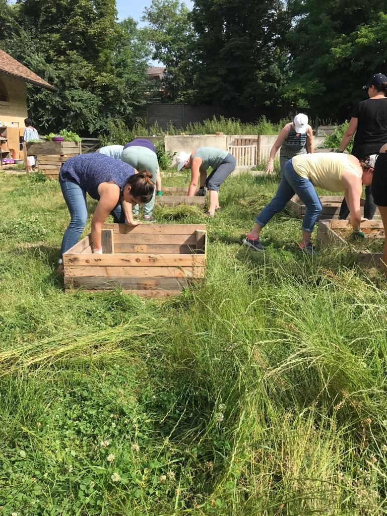 Collaborateurs lors d_une action de jardinage16