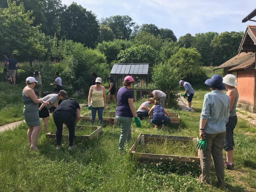 Collaborateurs s_occupant d_un potager