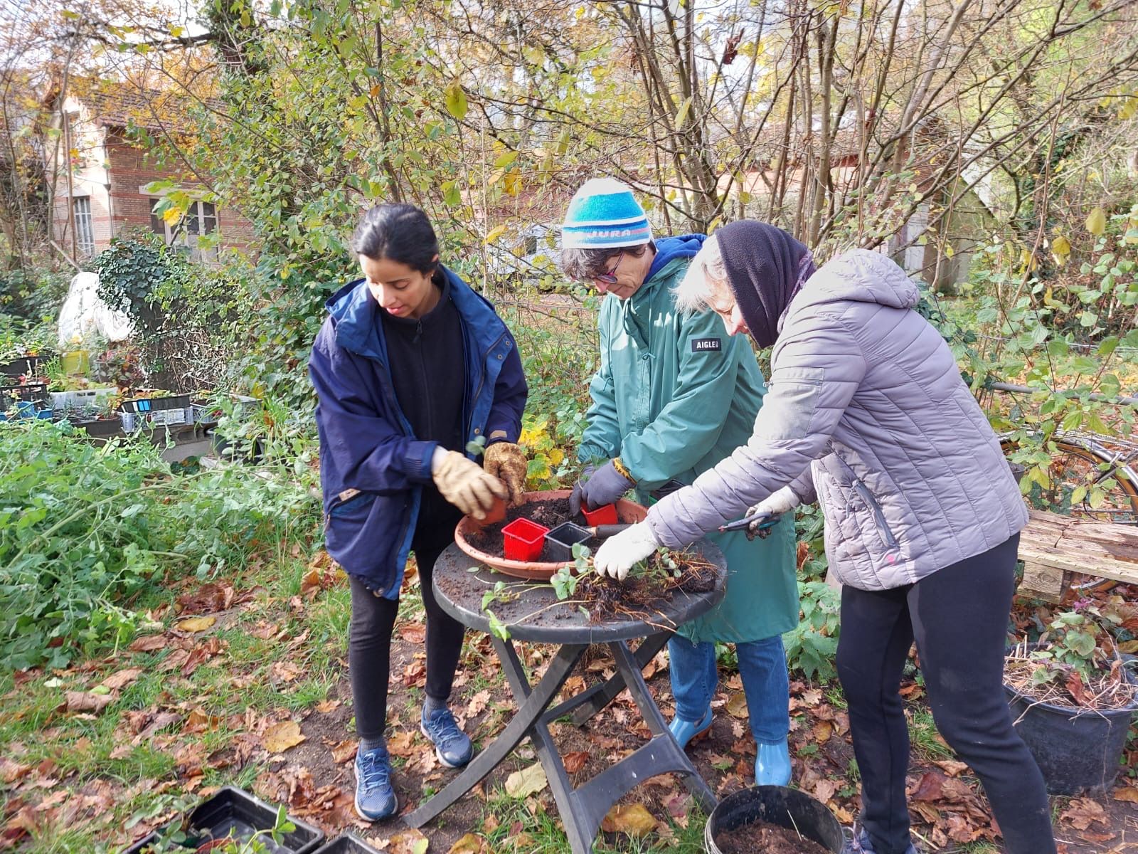 collaborateurs lors dune action de jardinage maraichage1