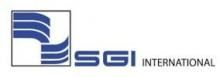 sgi.jpg