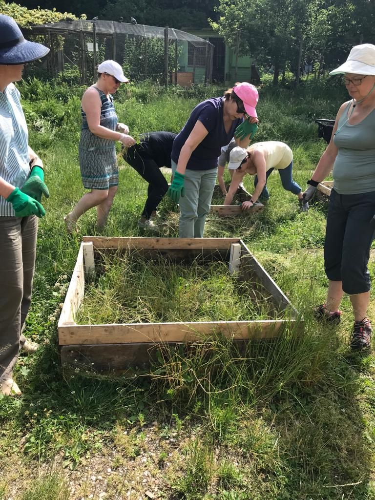 Collaboratrices lors d_une action de jardinage1