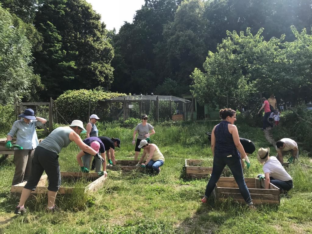 Collaborateurs lors d_une action de jardinage3