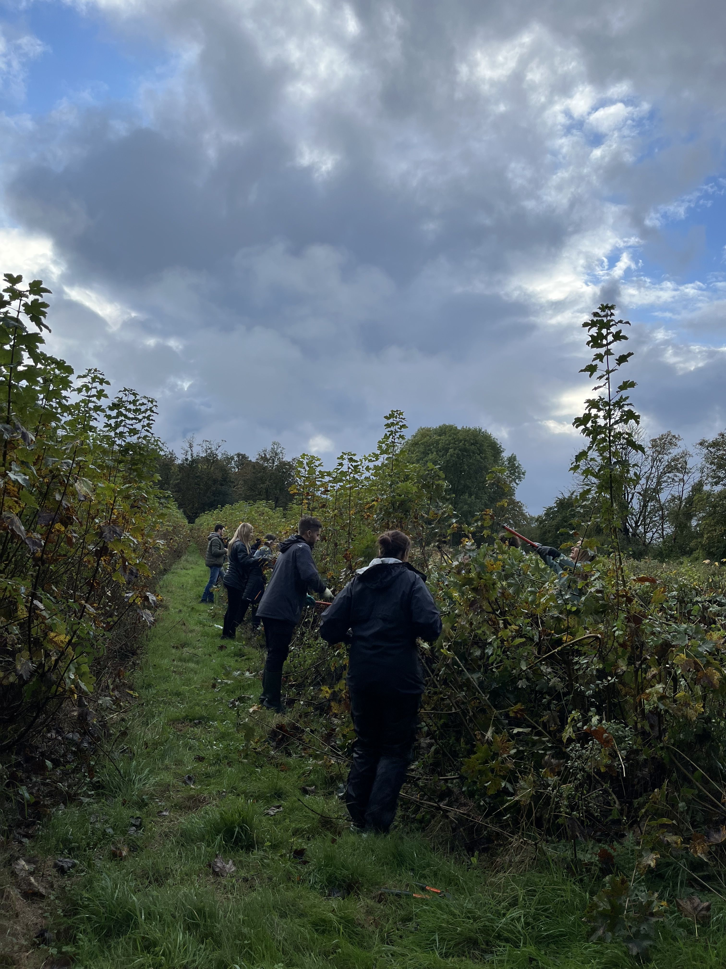 Collaborateurs lors d_une action de jardinage14
