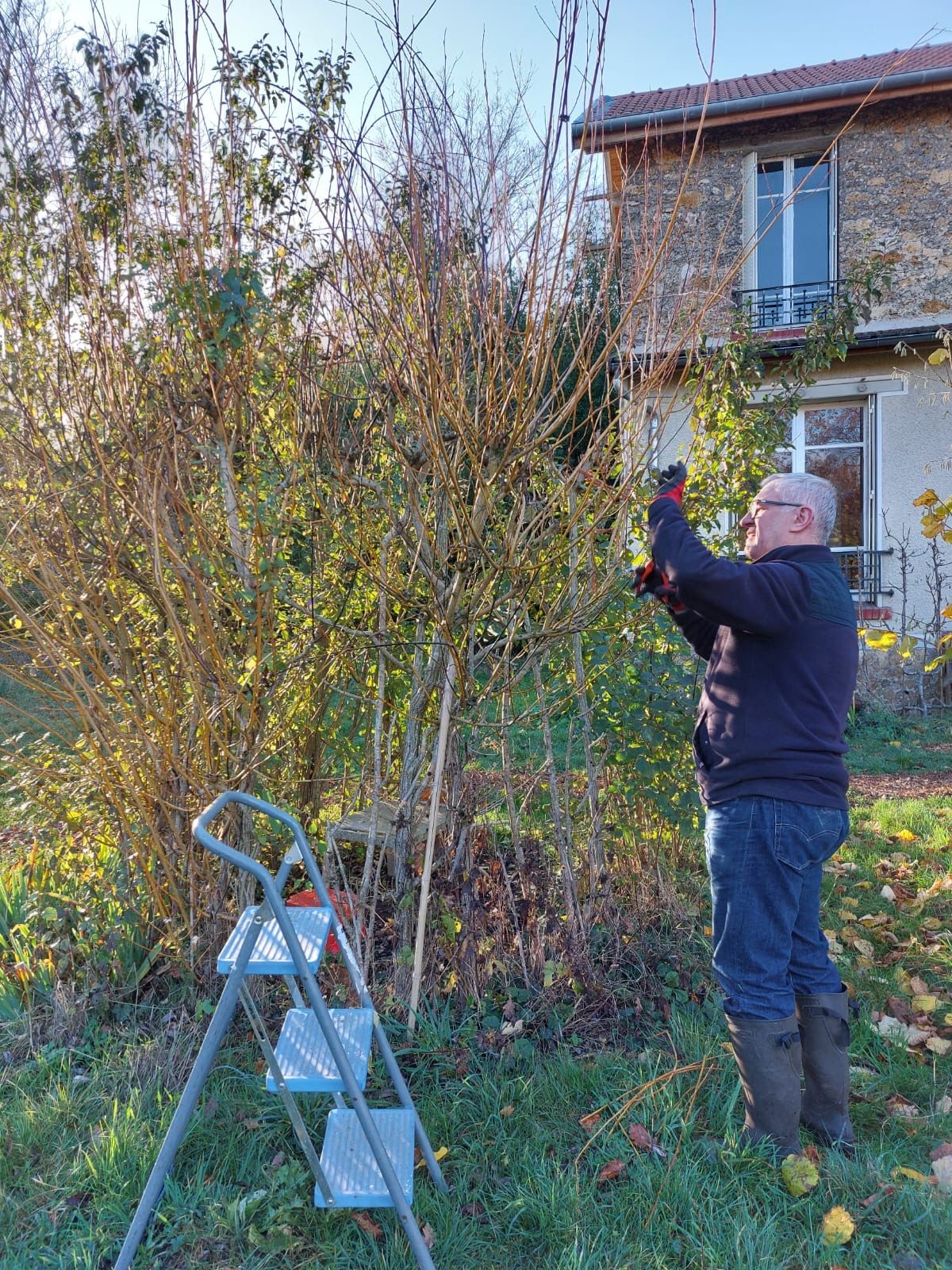 collaborateur lors dune action de jardinage maraichage