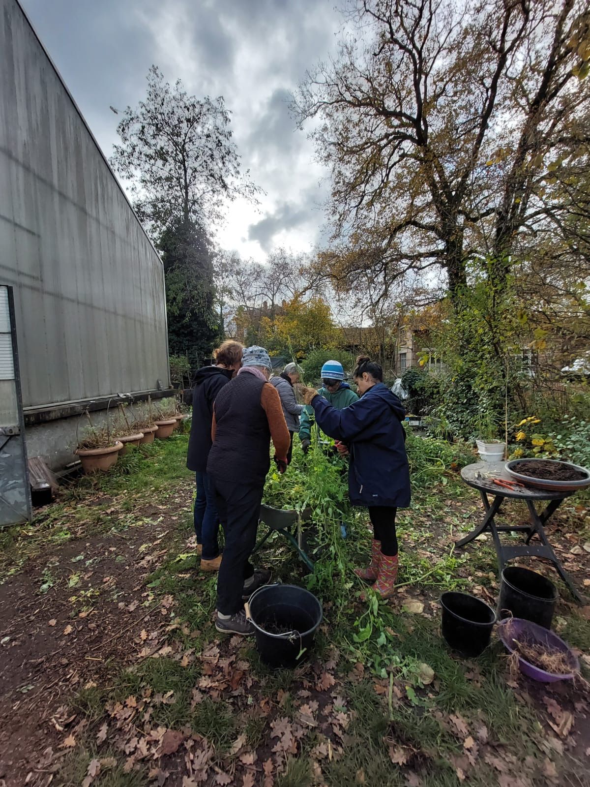 collaborateurs lors dune action de jardinage maraichage2