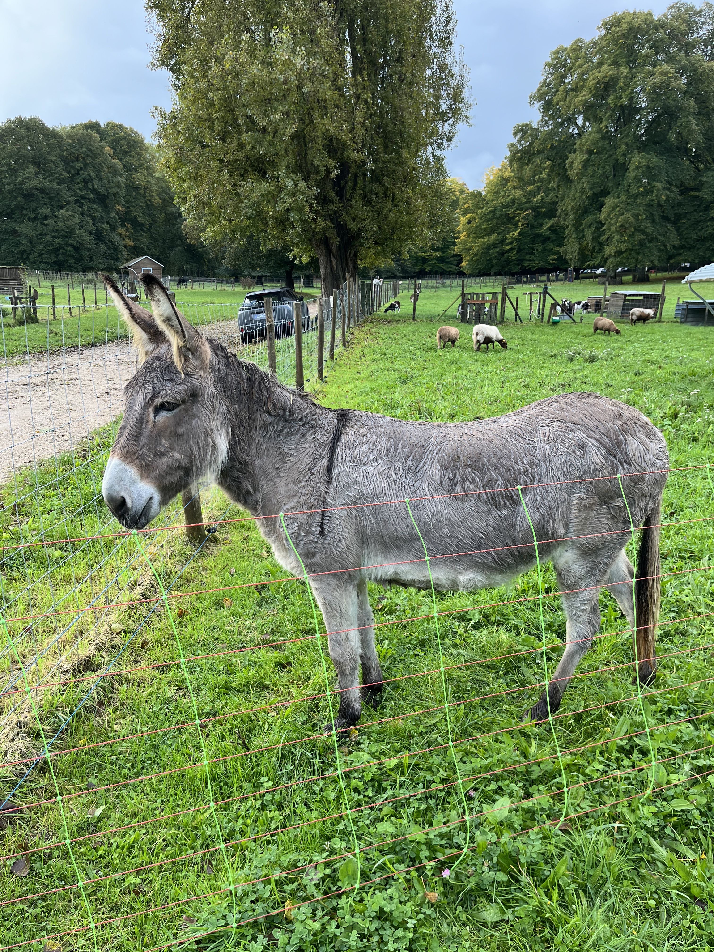 Journee solidaire a la ferme