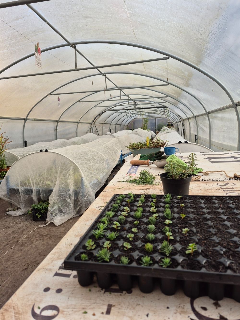 images/galerie_de_l_engagement/Serre de jardinage .jpg