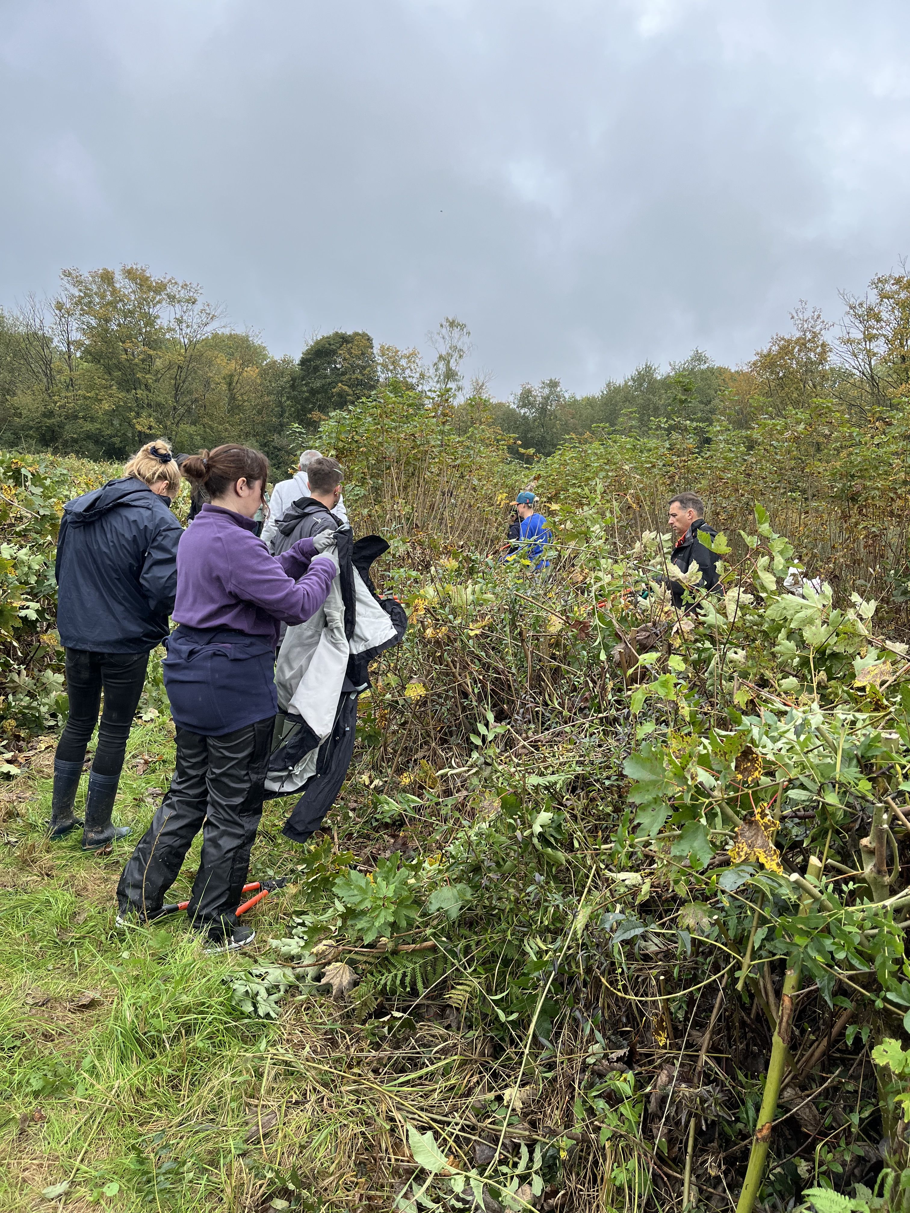 Collaborateurs lors d_une action de jardinage26