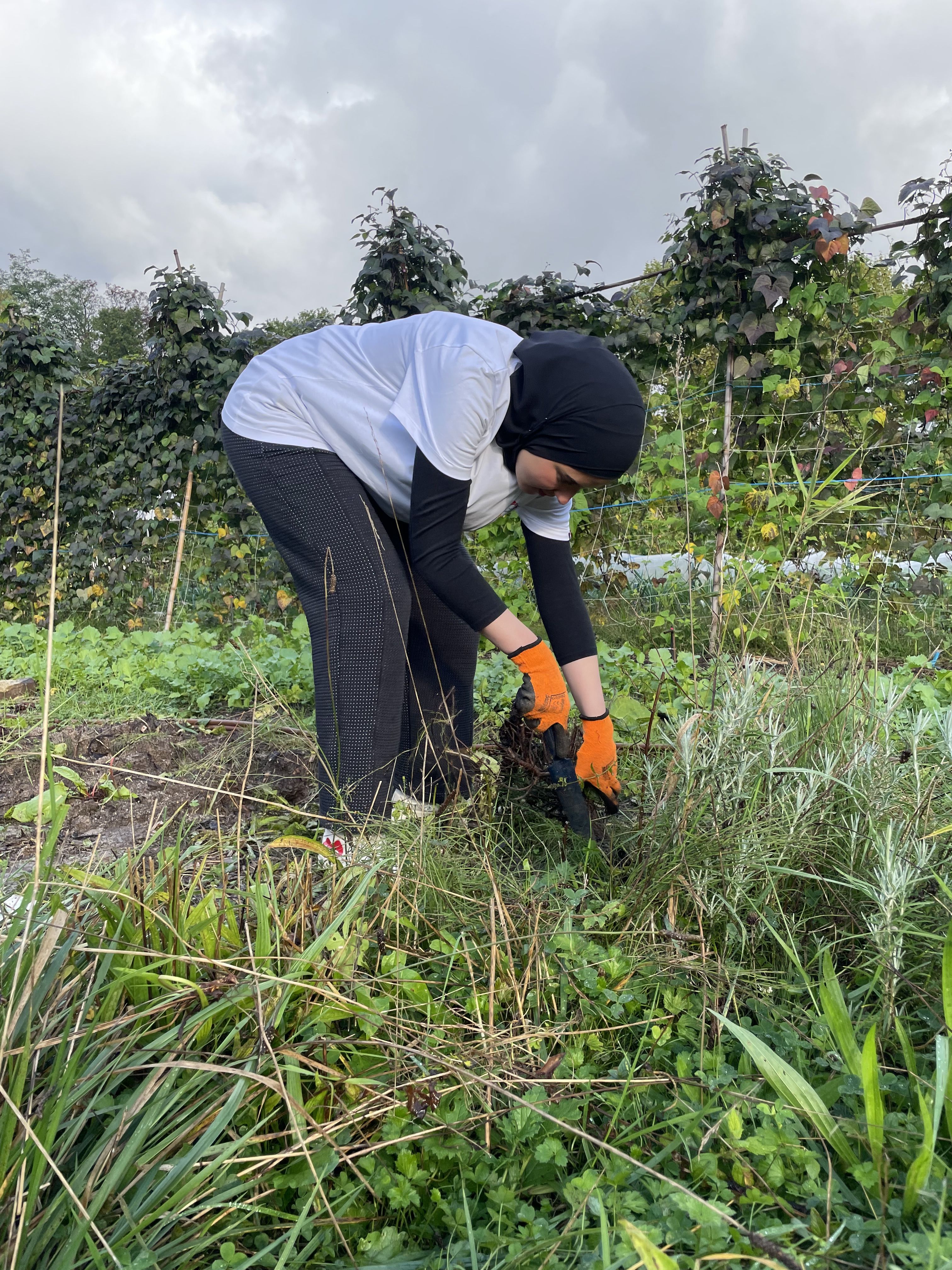 Collaboratrice lors d_une action de jardinage1