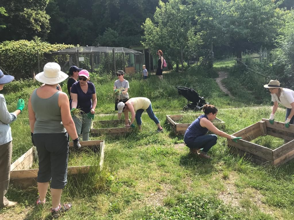 Collaborateurs lors d_une action de jardinage13