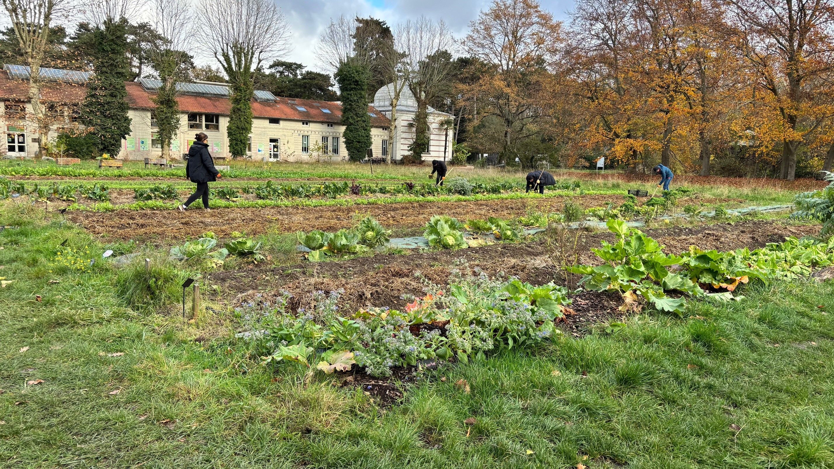collborateurs dans les jardins