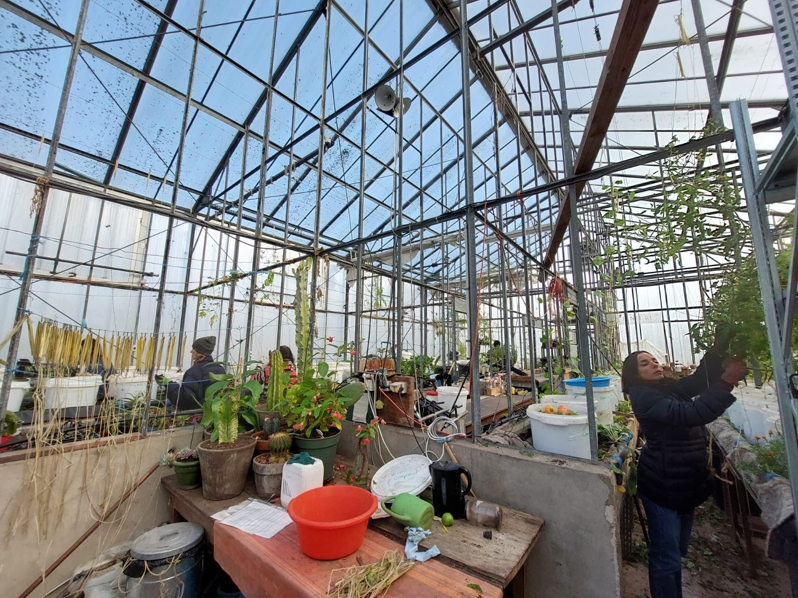 images/galerie_de_l_engagement/collaborateurs lors dune action de jardinage2.jpg