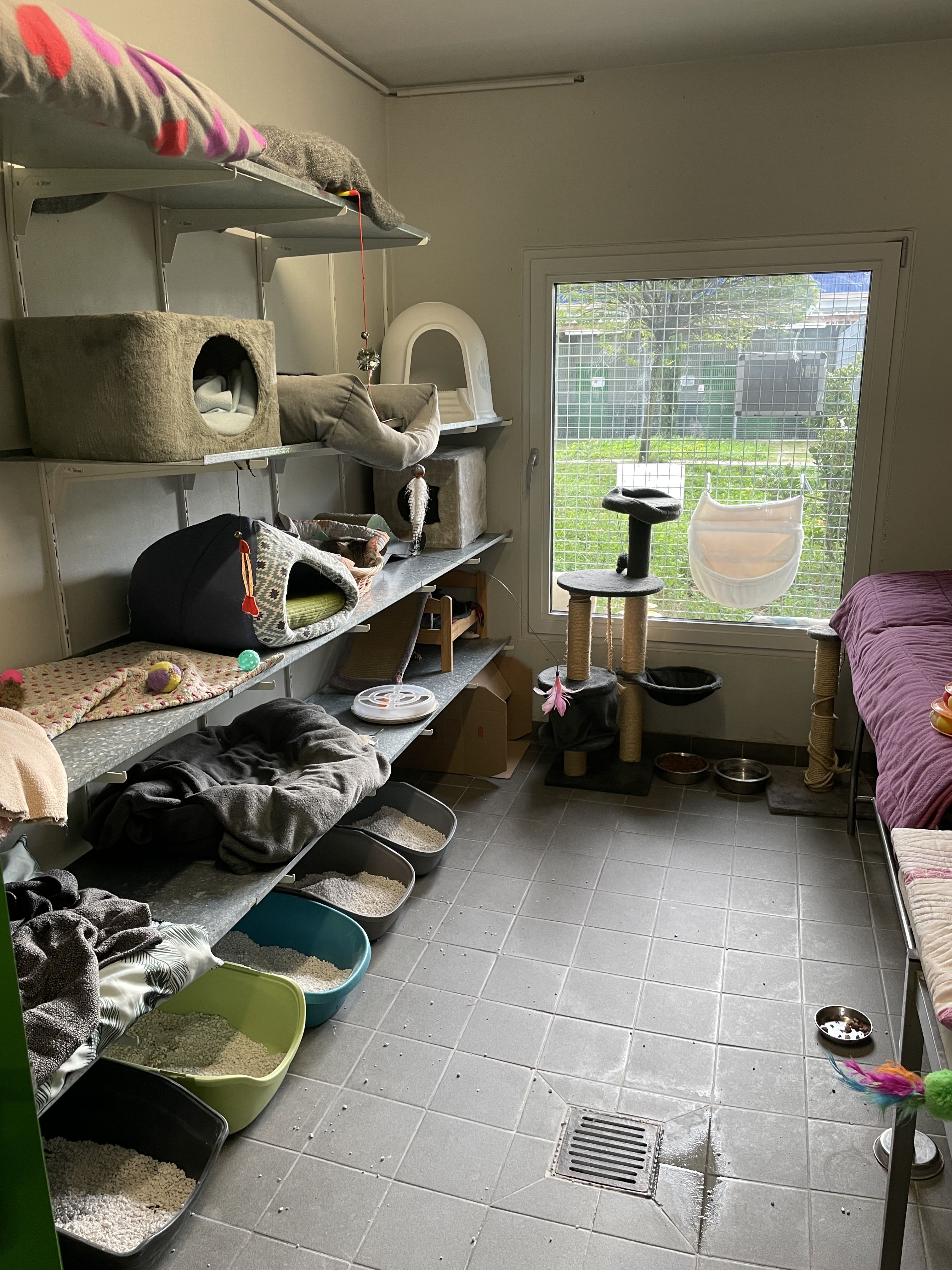 Refuge pour les animaux de la SPA