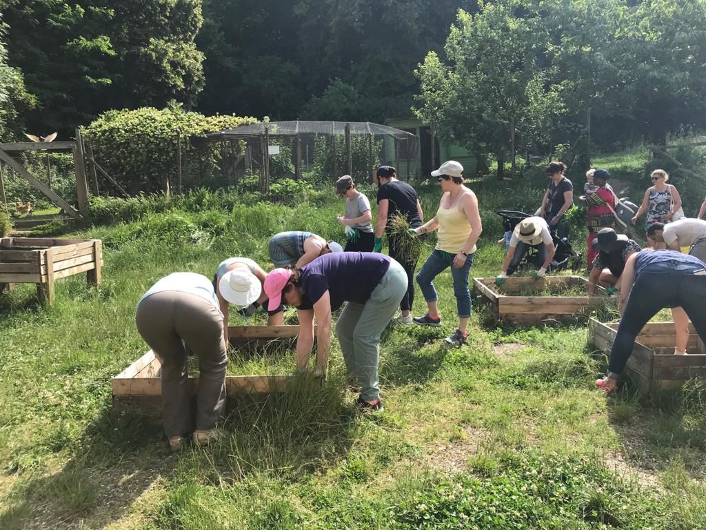 Collaborateurs lors d_une action de jardinage24