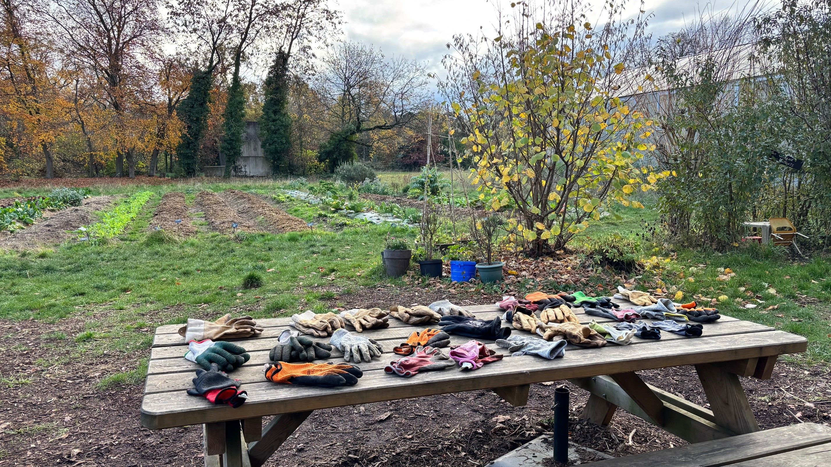 Jardin et gants lors dune action de jardinage
