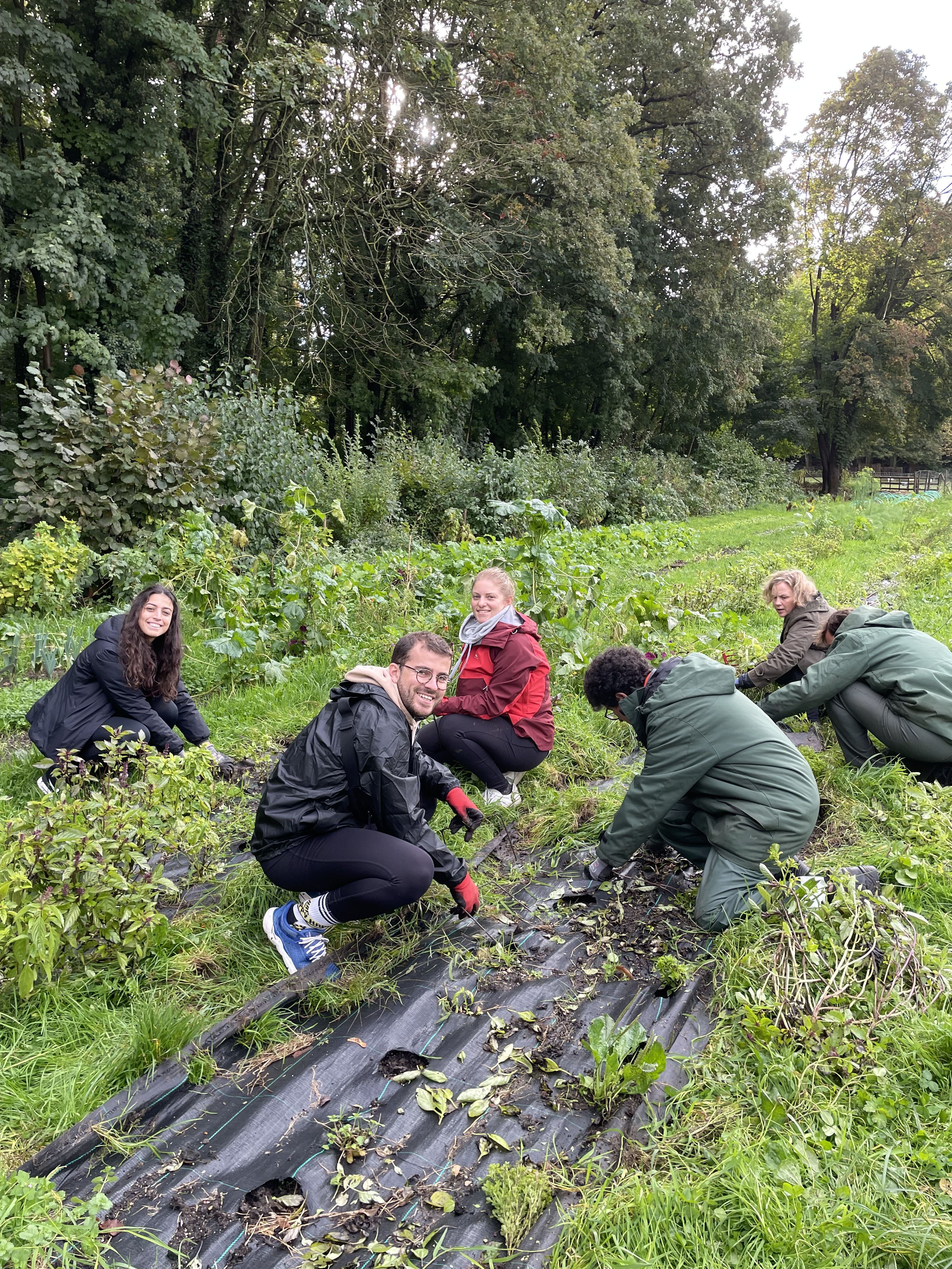 Collaborateurs lors d_une action de jardinage5