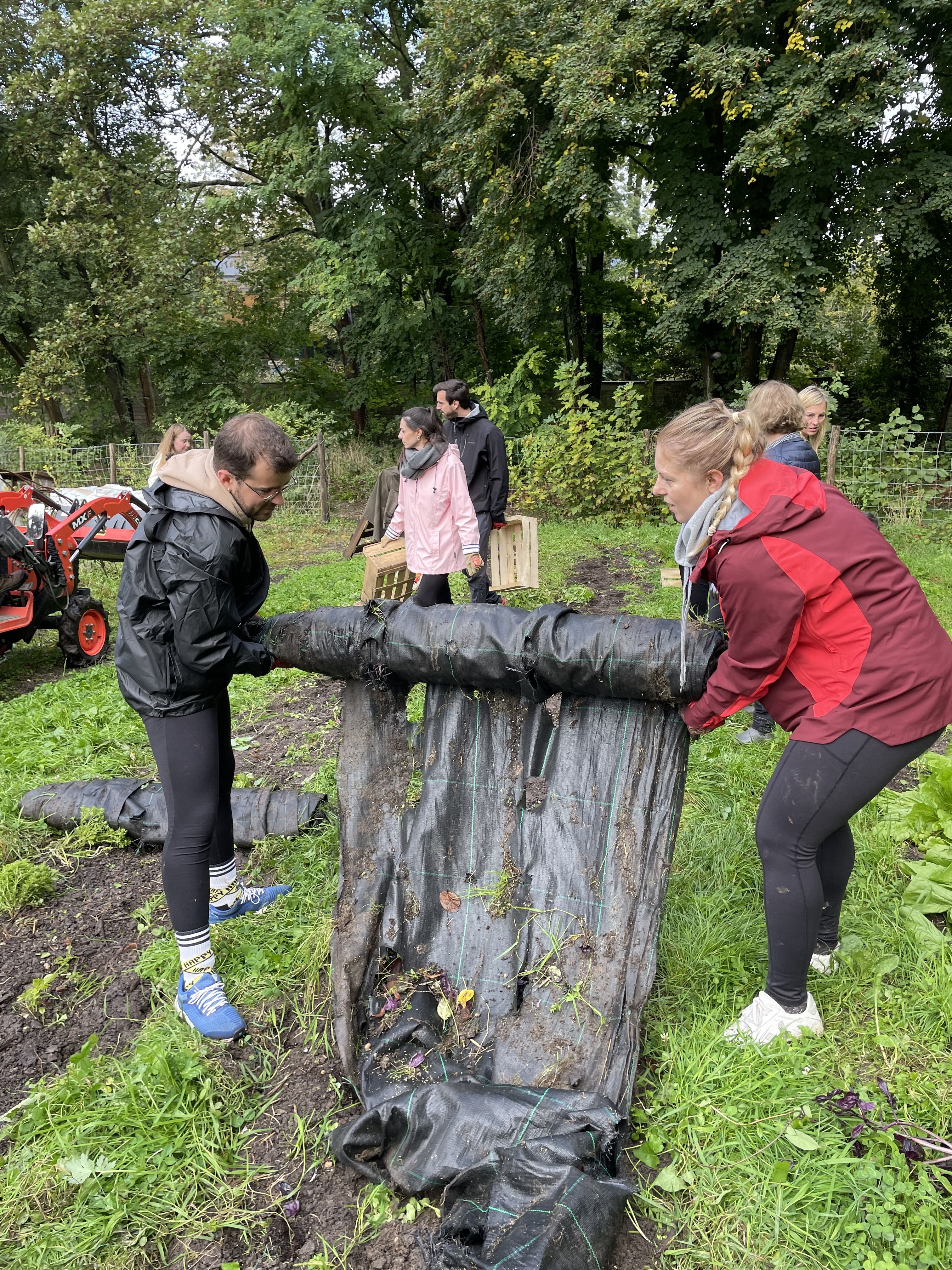Collaborateurs lors d_une action de jardinage12