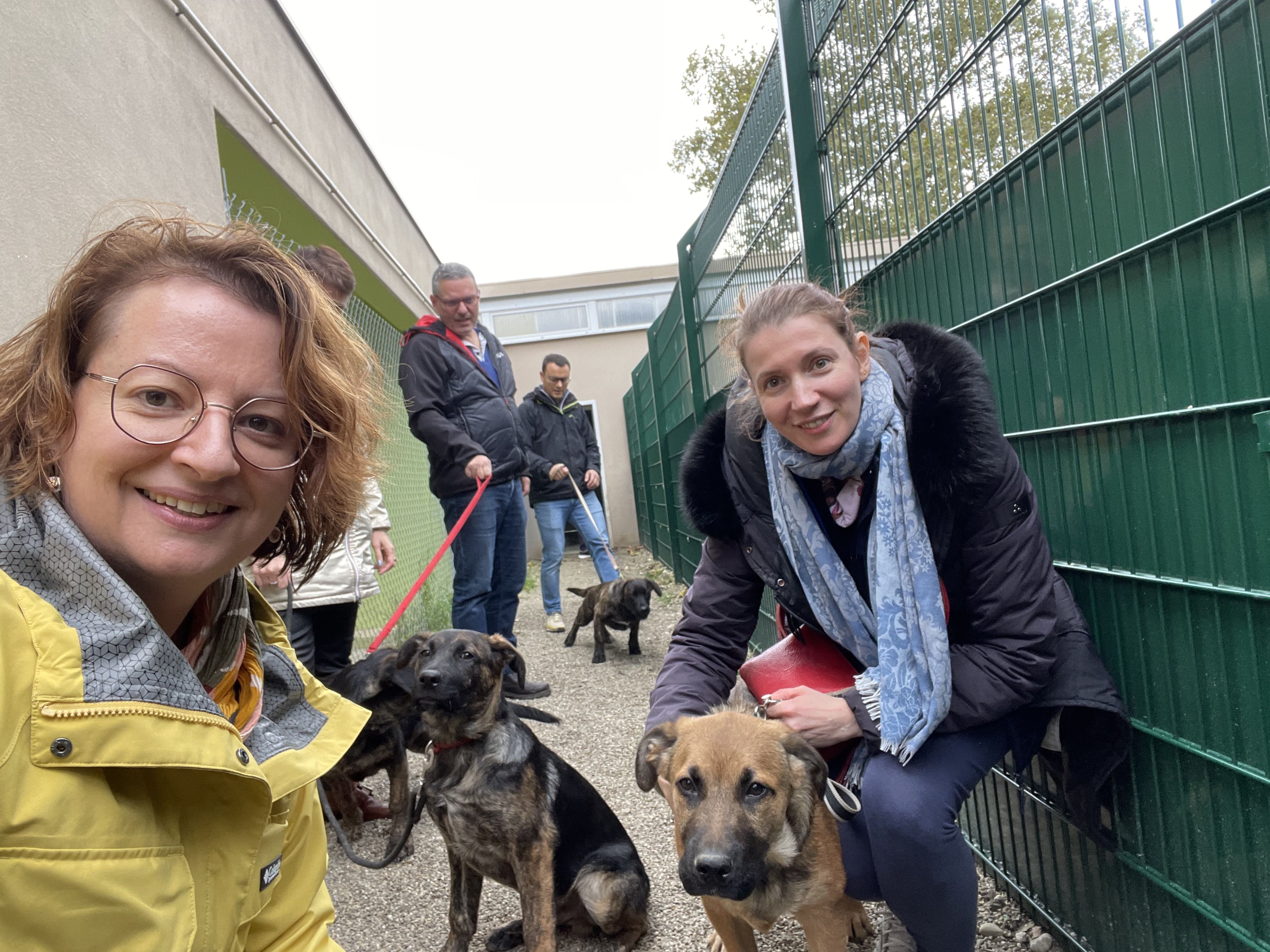 Collaborateurs avec des chiens de la SPA