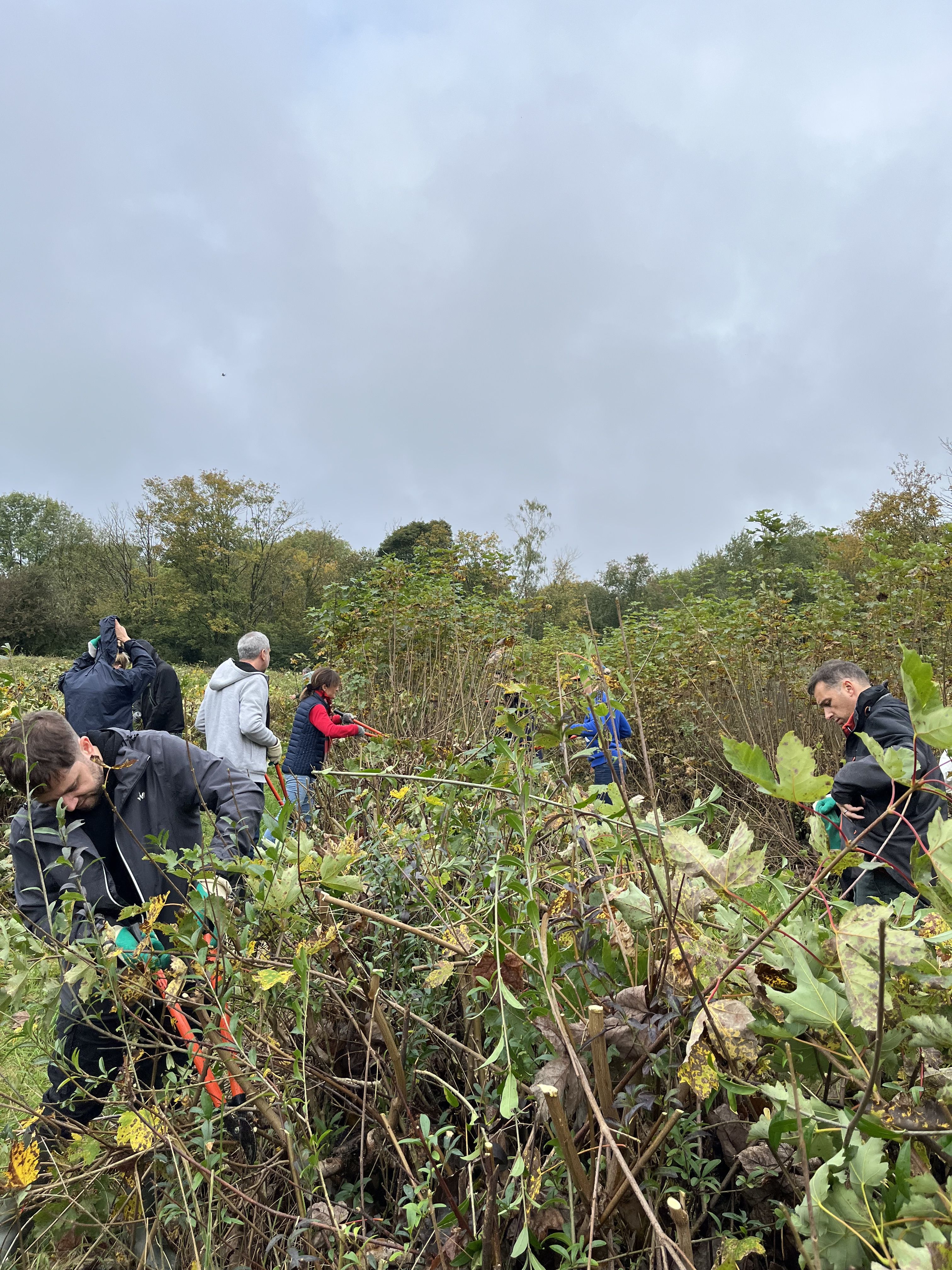 Collaborateurs lors d_une action de jardinage29
