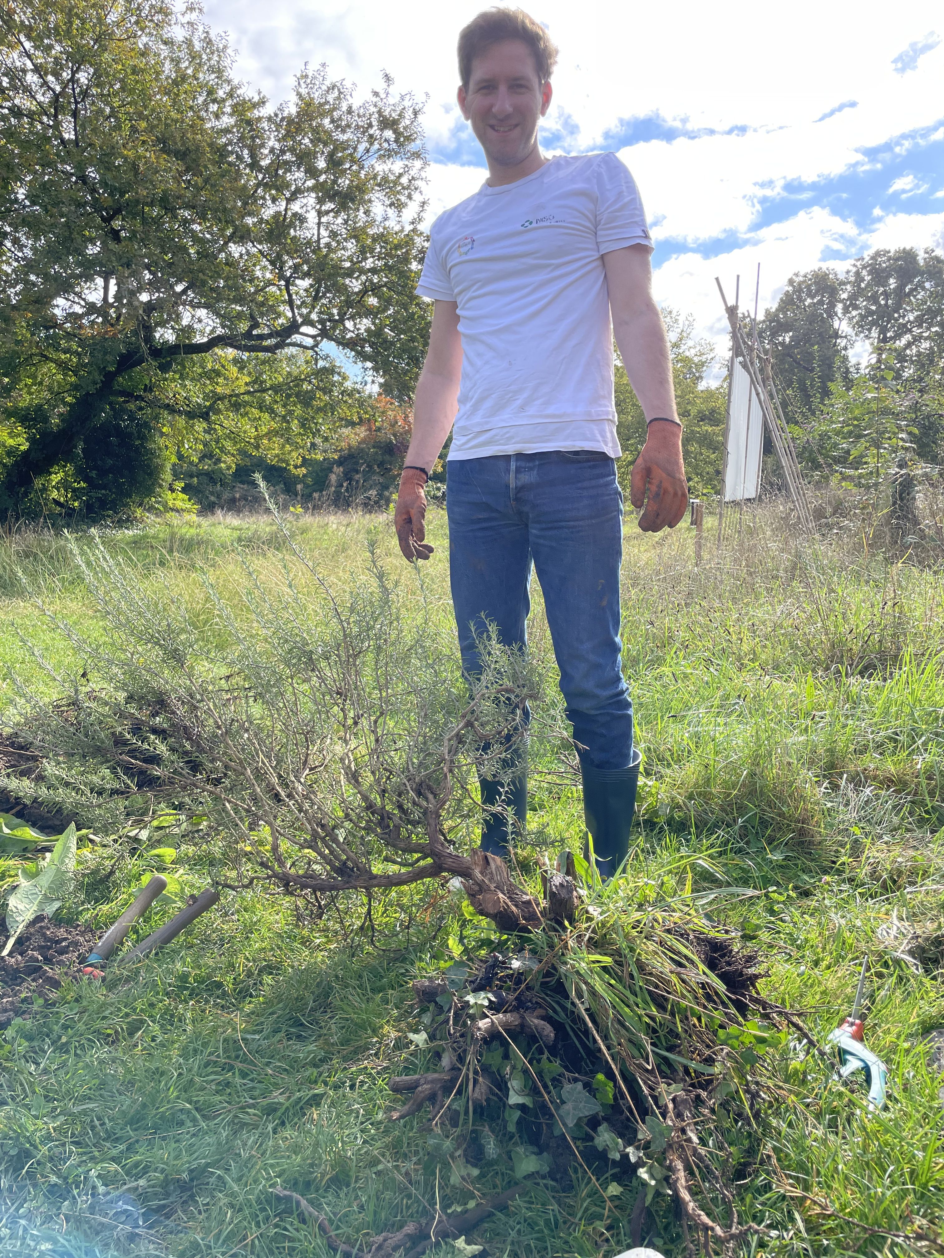 Collaborateur lors d_une action de jardinage2